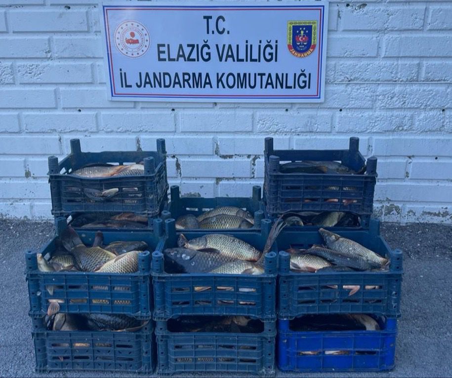 JANDARMA, SU VARLIKLARIMIZIN DA KORUYUCUSU