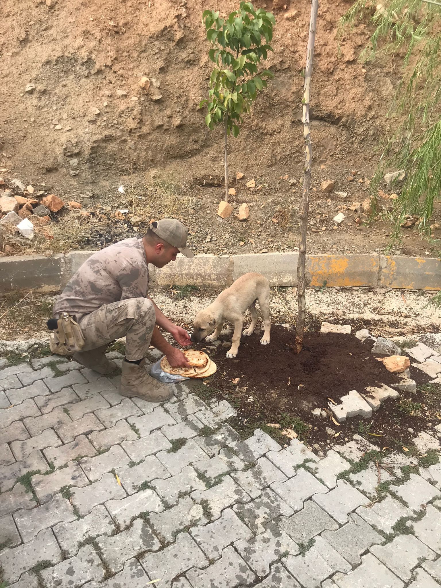 JANDARMA’DAN 4 EKİM DÜNYA HAYVANLARI KORUMA ETKİNLİĞİ