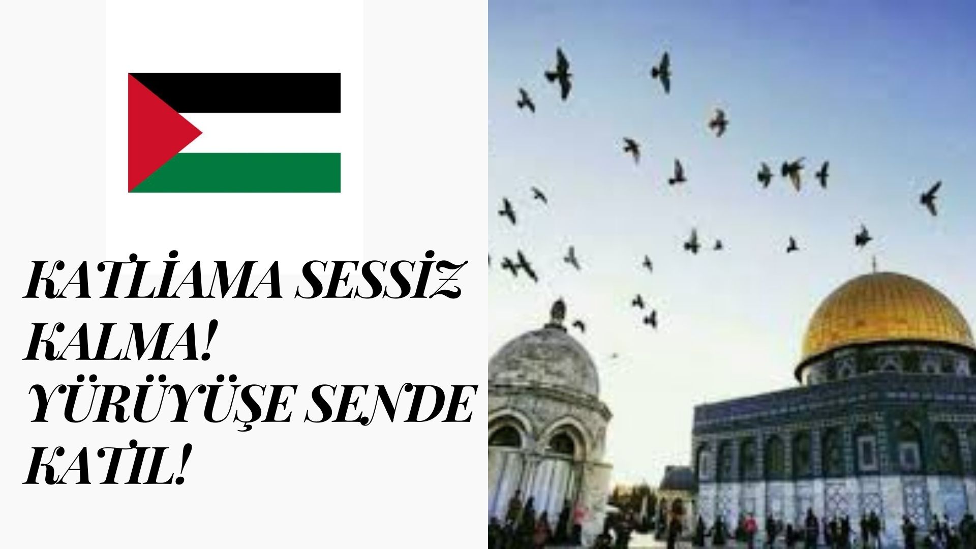 KATLİAMA SESSİZ KALMA! YÜRÜYÜŞE SENDE KATIL!