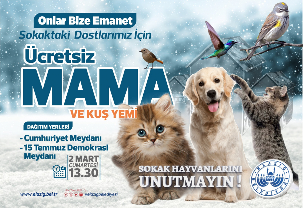 ELAZIĞ BELEDİYESİ ÜCRETSİZ MAMA VE KUŞ YEMİ DAĞITACAK