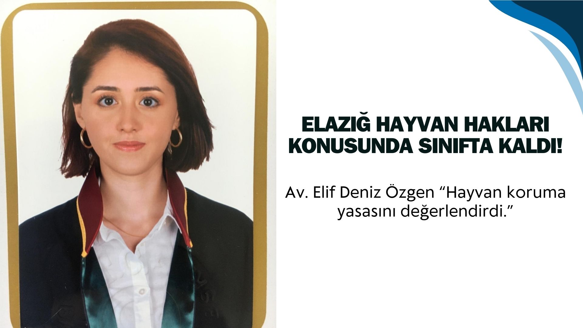 ELAZIĞ HAYVAN HAKLARI KONUSUNDA SINIFTA KALDI
