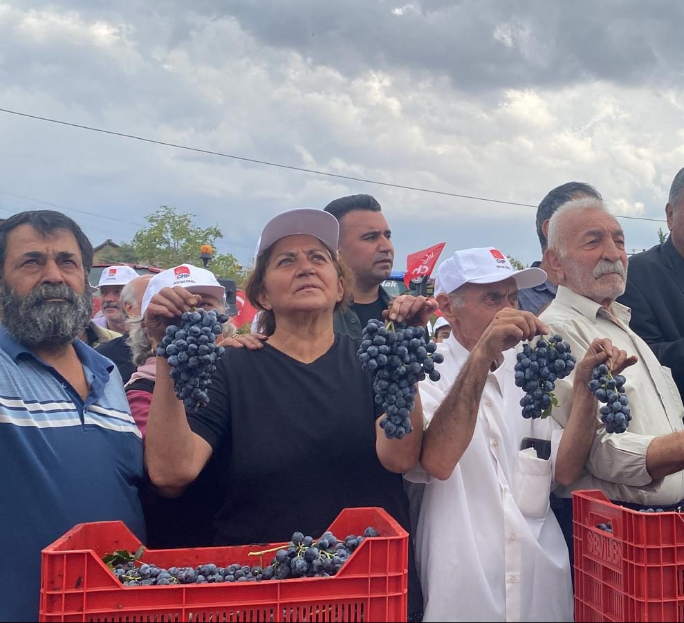 ELAZIĞ’DA BAĞBOZUMU BAŞLADI, ÜRETİCİNİN YÜZÜ BU SEZON DA GÜLMEDİ