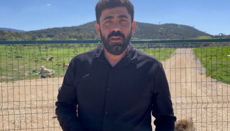 Hayvan hakları aktivisti Kaya: Hayvanların yaşam hakkı, fiilen de korunmalıdır