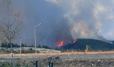 BURSA GÜRSU’DA KORKUTAN ORMAN YANGINI: RÜZGAR ATEŞİ TAŞIDI, EKİPLER SEFERBER EDİLDİ
