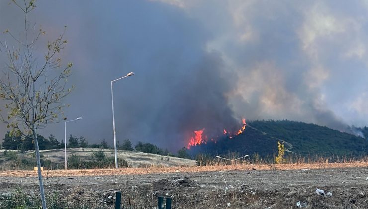 BURSA GÜRSU’DA KORKUTAN ORMAN YANGINI: RÜZGAR ATEŞİ TAŞIDI, EKİPLER SEFERBER EDİLDİ