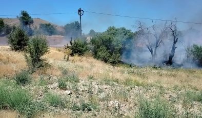 Keban’da korkutan yangın….