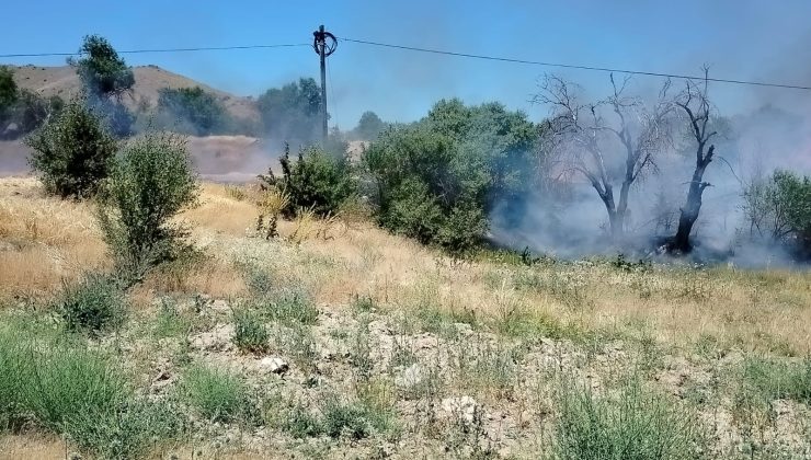 Keban’da korkutan yangın….