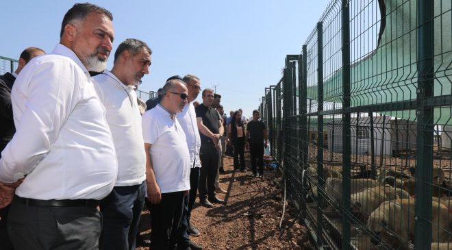 Vali Hatipoğlu’ndan Sokak Hayvanları Geçici Barınma Alanına Ziyaret