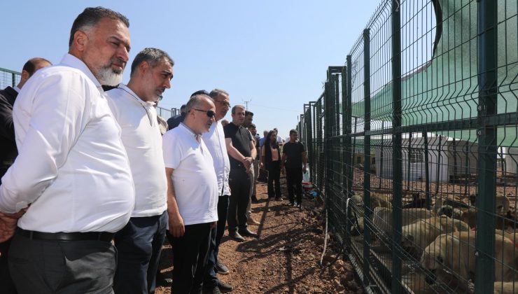Vali Hatipoğlu’ndan Sokak Hayvanları Geçici Barınma Alanına Ziyaret