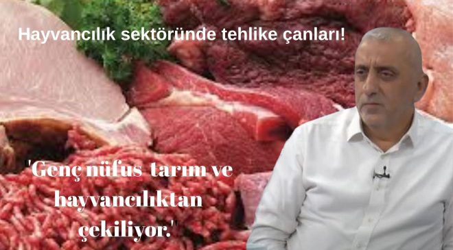 Kırmızı Et Üreticileri Birliği Başkanı Çiçek: ”Genç nüfus sektörden tarım ve hayvancılıktan çekilmekte.”