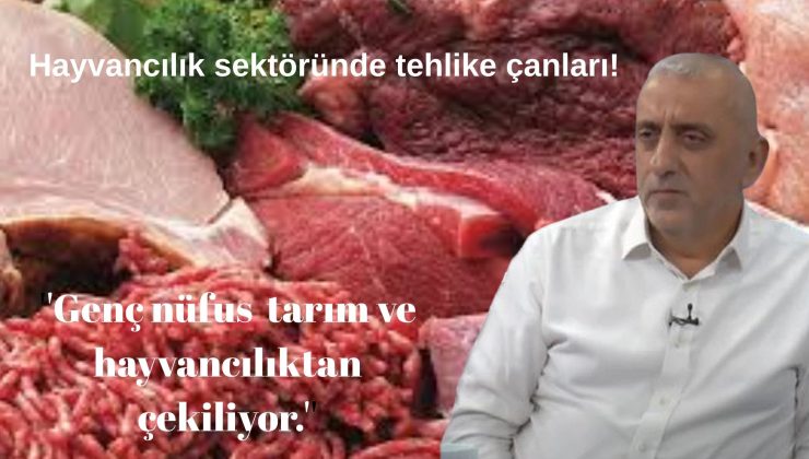 Kırmızı Et Üreticileri Birliği Başkanı Çiçek: ”Genç nüfus sektörden tarım ve hayvancılıktan çekilmekte.”