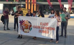 Elazığ Kadın Dayanışma Derneği ”Çocukların sağlıklı beslenmesi bir lütuf değil, devletin yerine getirmek zorunda olduğu bir yükümlülüktür.”