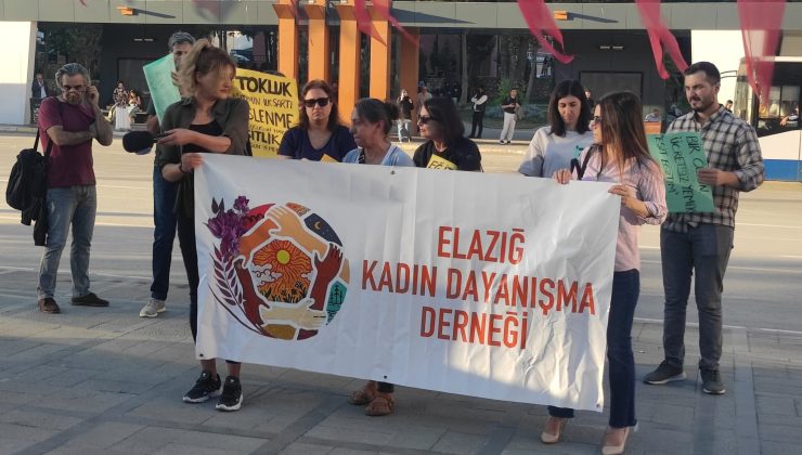 Elazığ Kadın Dayanışma Derneği ”Çocukların sağlıklı beslenmesi bir lütuf değil, devletin yerine getirmek zorunda olduğu bir yükümlülüktür.”
