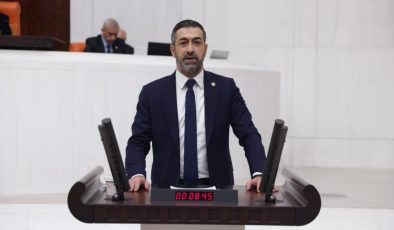 ELEKTRİK İLETİM HATLARI SORUNU MECLİS GÜNDEMİNE TAŞINDI