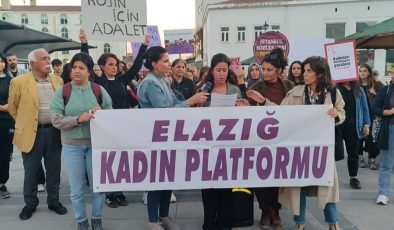 Kadın Platformu Üyelerinden Kabaiş açıklaması:”Rojin için adalet!!”