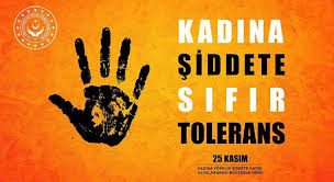 “Türkiye’de Kadına Yönelik Şiddet Araştırması-2024” tamamlandı
