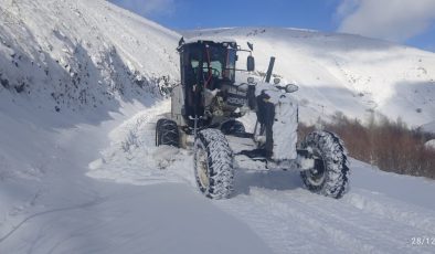 ELAZIĞ İL ÖZEL İDARESİ KARLA MÜCADELE ÇALIŞMALARINI KESİNTİSİZ SÜRDÜRÜYOR