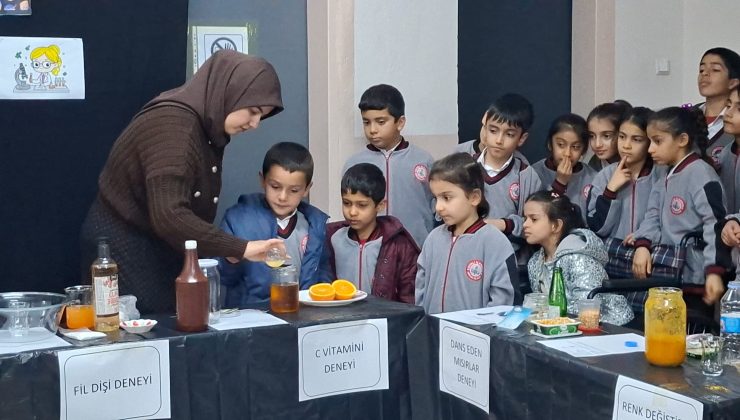 Arıcak’ta Mini Deney Şenliği