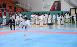 Sahada Azim, Pistte Hız, Tatamide Güç