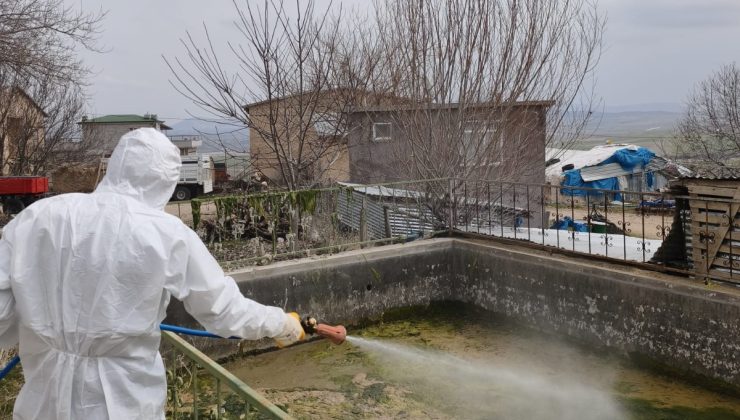 Elazığ İl Özel İdaresi ekipleri, yaklaşan bahar dönemiyle birlikte larva ilaçlama çalışmalarına başladı.