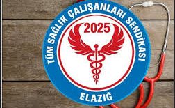 Tüm Sağlık Çalışanları Sendikası’ndan Ramazan’da 100 aileye destek