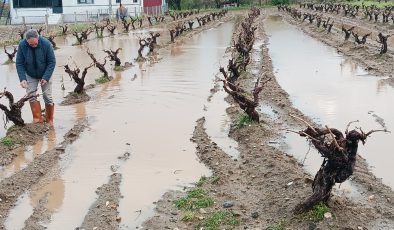 Yağan yağmur ve dolu hem şehirlerde hem köylerde hayatı felç etti