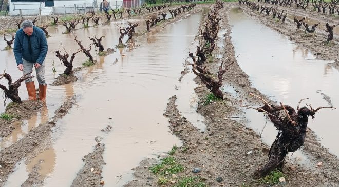 Yağan yağmur ve dolu hem şehirlerde hem köylerde hayatı felç etti