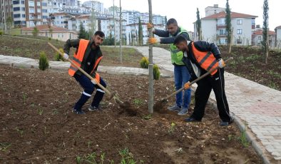 Elazığ’da Park ve Yeşil Alanlarda Bakım ve Ağaçlandırma Çalışmaları Sürüyor
