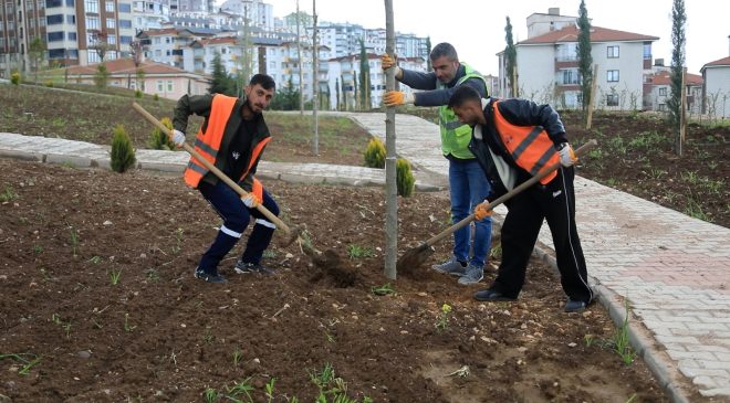 Elazığ’da Park ve Yeşil Alanlarda Bakım ve Ağaçlandırma Çalışmaları Sürüyor