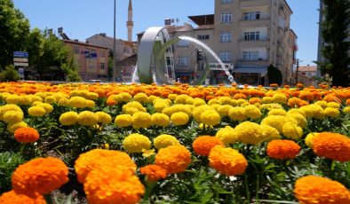 Cip Sera Alanı’nda üretilen çiçekler kent genelinde dikiliyor