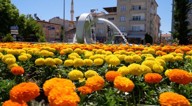 Cip Sera Alanı’nda üretilen çiçekler kent genelinde dikiliyor