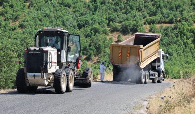 Karakoçan Yoğunağaç Grup Yolu’nda Asfalt İyileştirme Çalışmaları Sürüyor