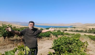 İKİ FELAKETİ ARDARDA YAŞAYAN ÜZÜM ÜRETİCİLERİ ZORDA