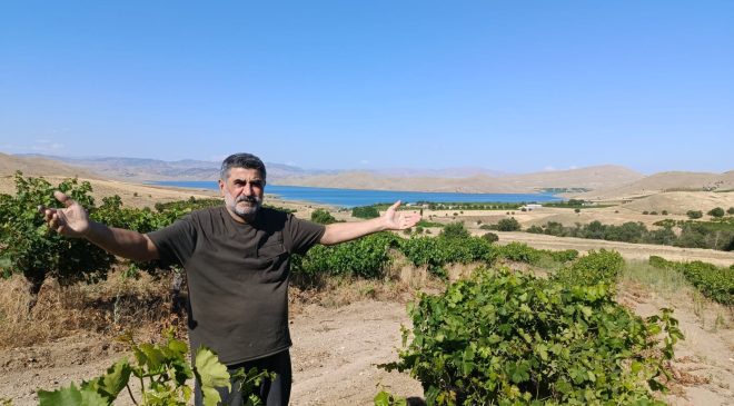 İKİ FELAKETİ ARDARDA YAŞAYAN ÜZÜM ÜRETİCİLERİ ZORDA