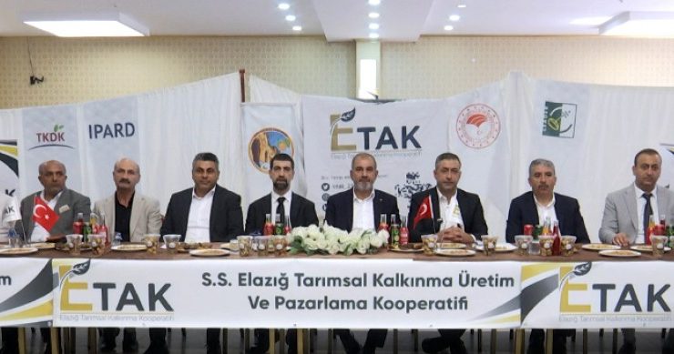 2. Baskil Kayısı Çalıştayı Düzenlendi