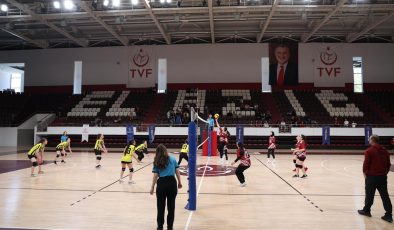 ELAZIĞ’IN SPOR YATIRIMLARI ÜST LİG BAŞARILARIYLA TAÇLANDI