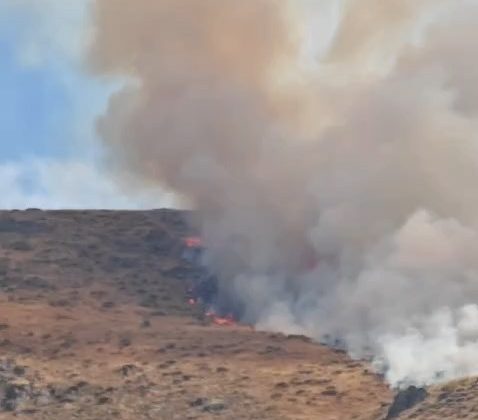 Palu’da dağlık alanda arazi yangını